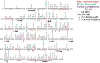 Pathogenic variants of ornithine transcarbamylase deficiency: Nation-wide study in Japan and literature review